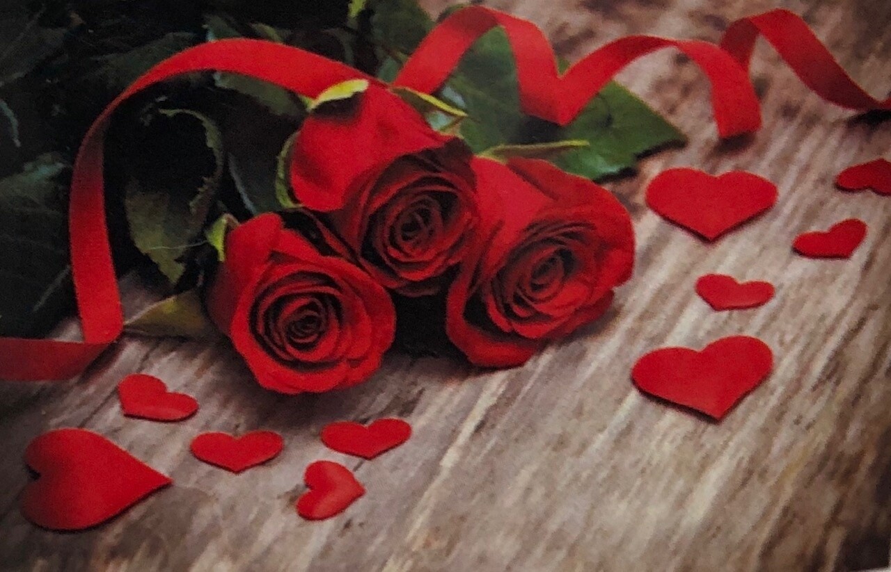 Diamond Painting Rode Rozen J0615 30 cm x 40 cm