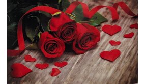 Diamond Painting Rode Rozen J0615 30 cm x 40 cm