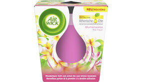 Airwick Airwick Geurkaars - Bloemenweide 105g