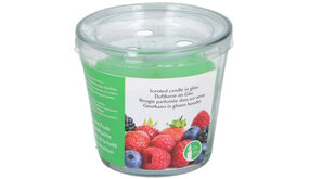 Arti Casa Bosvruchten - Geurkaars 20 Branduren