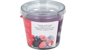 Arti Casa Wilde Bessen - Geurkaars 20 Branduren