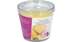 Arti Casa Passievrucht - Geurkaars 20 Branduren