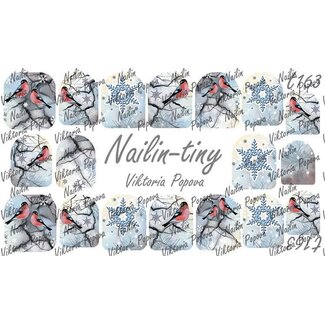Nailin Nailin Tiny motief 163