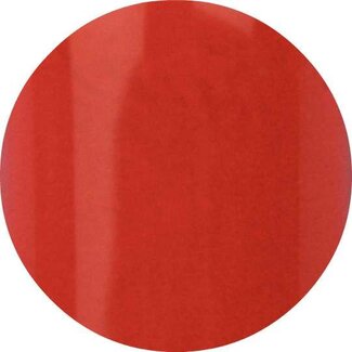 Urban Nails Urban 04 Color Acryl 4,5 gr.