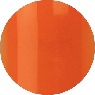 Urban Nails Urban 06 Color Acryl 4,5 gr.