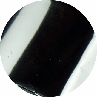 Urban Nails Folie 02