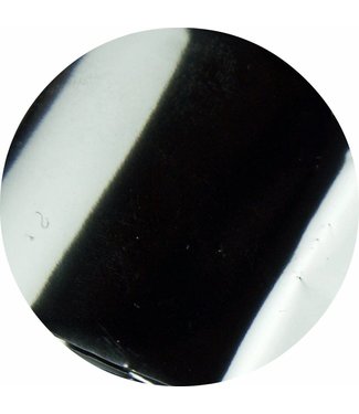 Urban Nails Folie 02