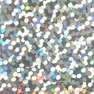 Magnetic Foil Hologr. Silver Confetti