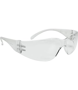 Magnetic Veiligheidsbril