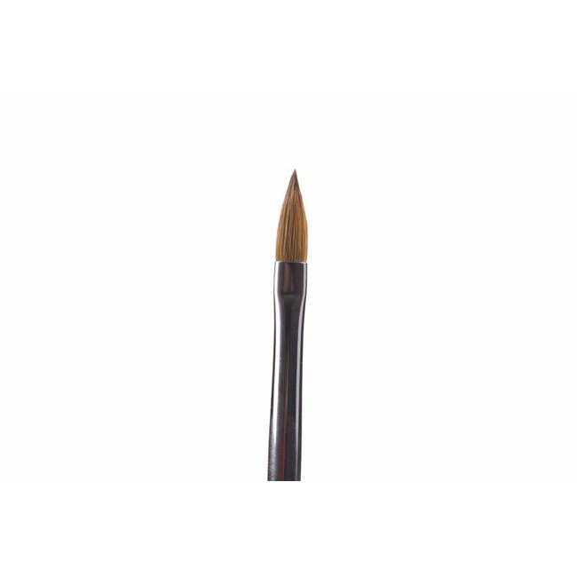 Click On Oval 8