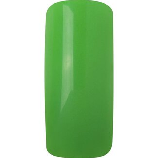 Magnetic Acryl poeder Neon Green 12 gr.