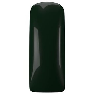 Magnetic 778 Nagellak Rainforest 
