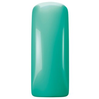 Magnetic 453 Gelpolish Mojito