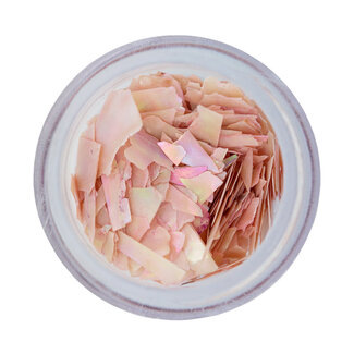 Magnetic Inlay Shell Sheets Salmon