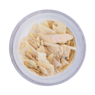 Magnetic Inlay Shell Sheets Ivory