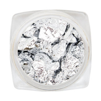 Magnetic Bladzilver