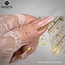 Fashion Sticker Graphic Gold