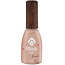 Magnetic Blush Gel Fierce