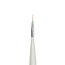 Blush Brush