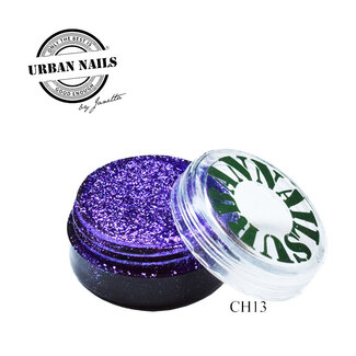 Urban Nails Chrome Pigment 13 Purple