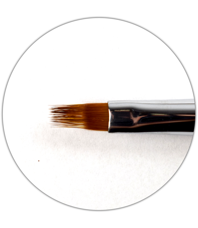 Exclusive Ombre Brush
