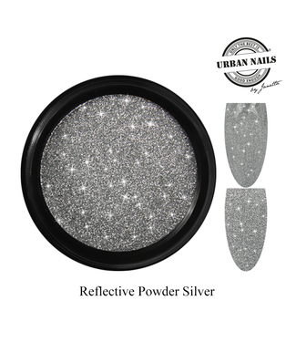 Urban Nails Reflective Powder Silver