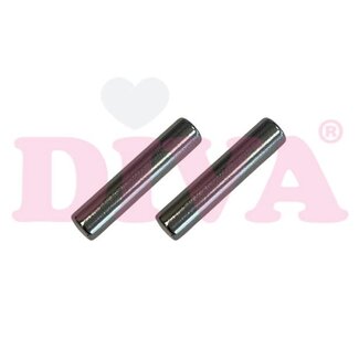 Diva Staaf Magneet Rond 2 st.