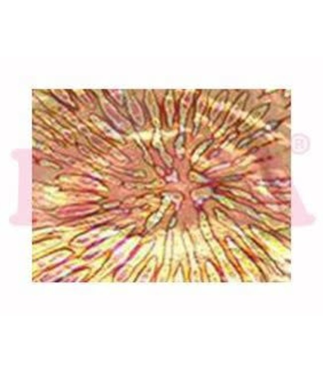 Design Bladgoud Folie 04