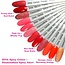 Set Gellak Spicy Colors 4 st. 10 ml.