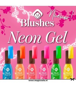 Magnetic Set Blush Gel Neon, 6 stuks