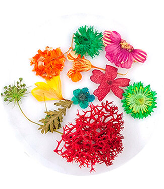 Urban Nails Dried Flowers 01