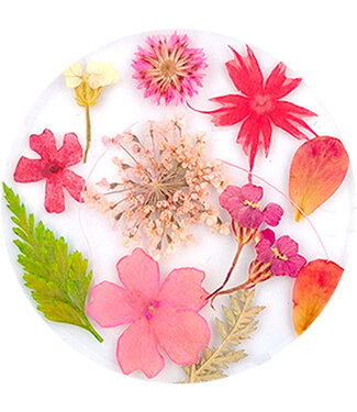 Urban Nails Dried Flowers 08