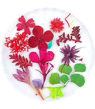 Urban Nails Dried Flowers 09