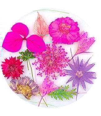 Urban Nails Dried Flowers 10