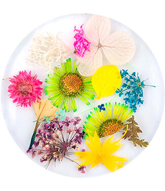 Urban Nails Dried Flowers 11