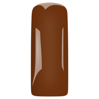Magnetic Blush Gel Caramel Macchiato