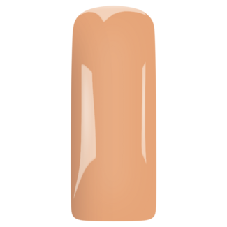 Magnetic Blush Gel Chai Latte
