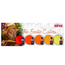 Set Gellak The Exotic Colors 5 st. 10 ml.
