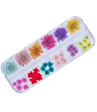 Urban Nails Dried Flowers Box 2