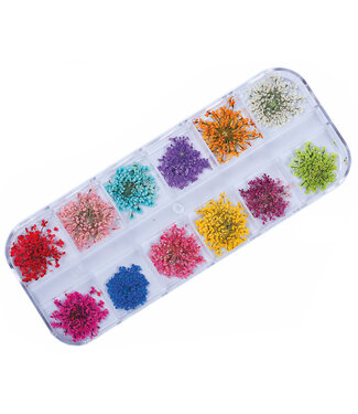 Urban Nails Dried Flowers Box 3