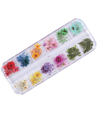 Urban Nails Dried Flowers Box 4