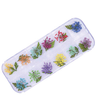 Urban Nails Dried Flowers Box 6