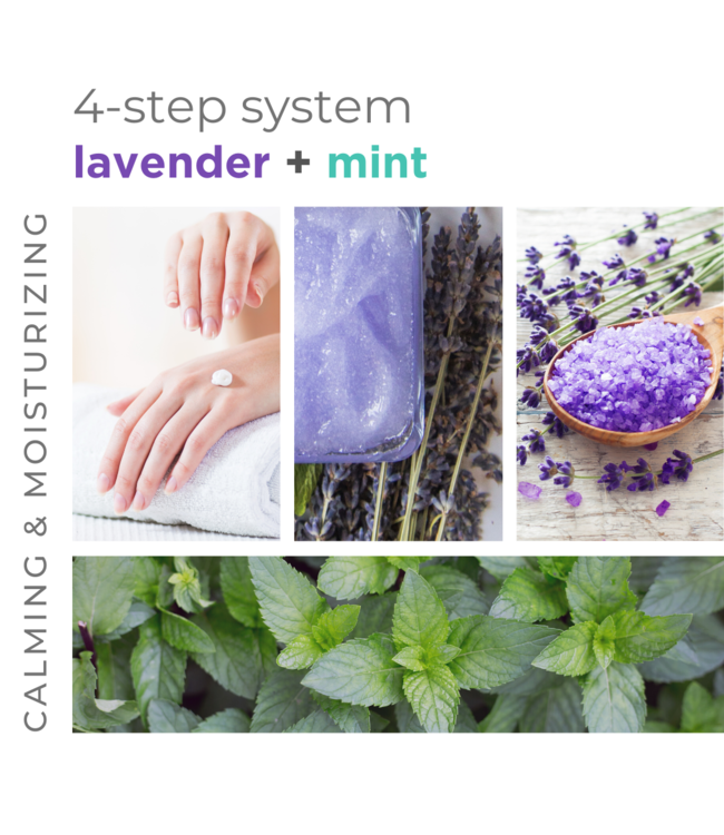 BCL SPA Lavender + Mint Complete 4-step Packet Box