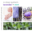 BCL SPA Lavender + Mint Complete 4-step Packet Box
