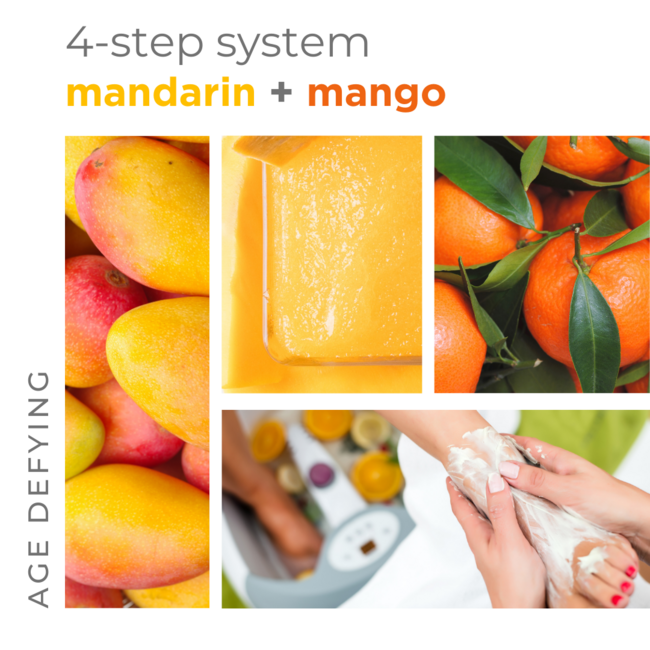 BCL SPA Mandarin + Mango Complete 4-step Packet Box