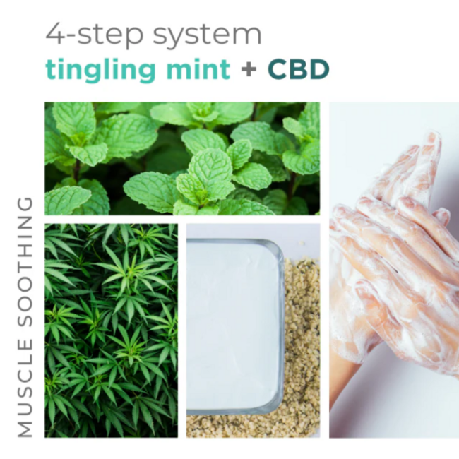 BCL SPA Mint + CBD Complete 4-step Packet Box