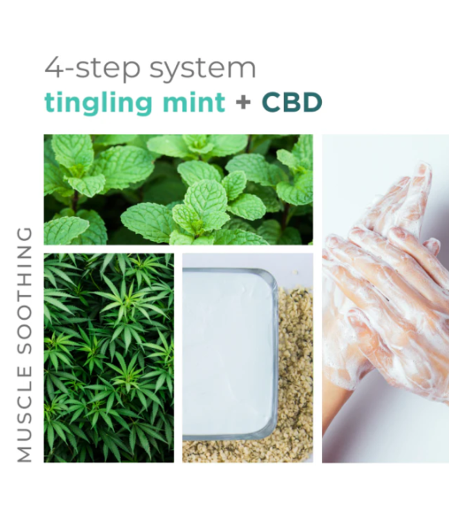 BCL SPA Mint + CBD Complete 4-step Packet Box