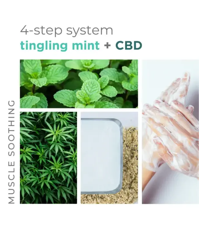 BCL SPA Starter Kit Mint + CBD 4-step
