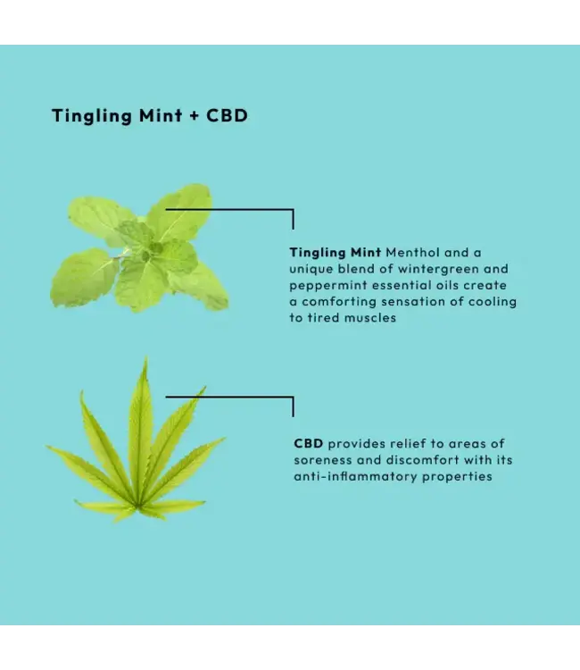 BCL SPA Starter Kit Mint + CBD 4-step