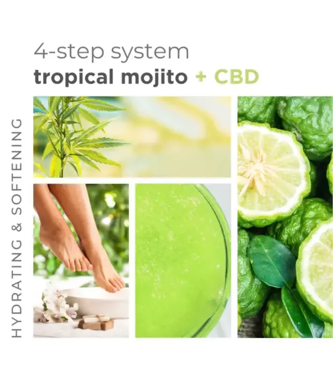 BCL SPA Starter Kit Tropical Mojito 4-step